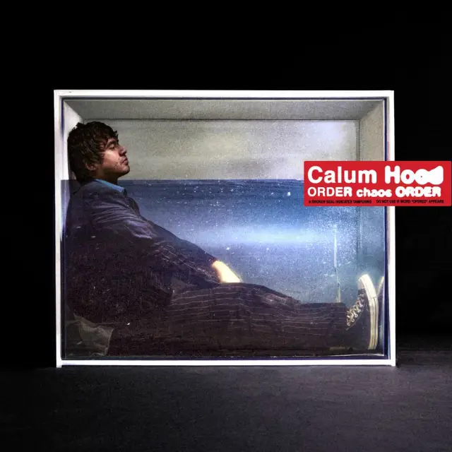 Don't Forget You Love Me by Calum Hood
