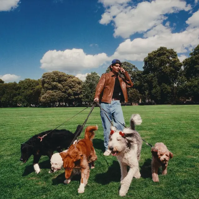 Dog Eat Dog by Benjamin Steer